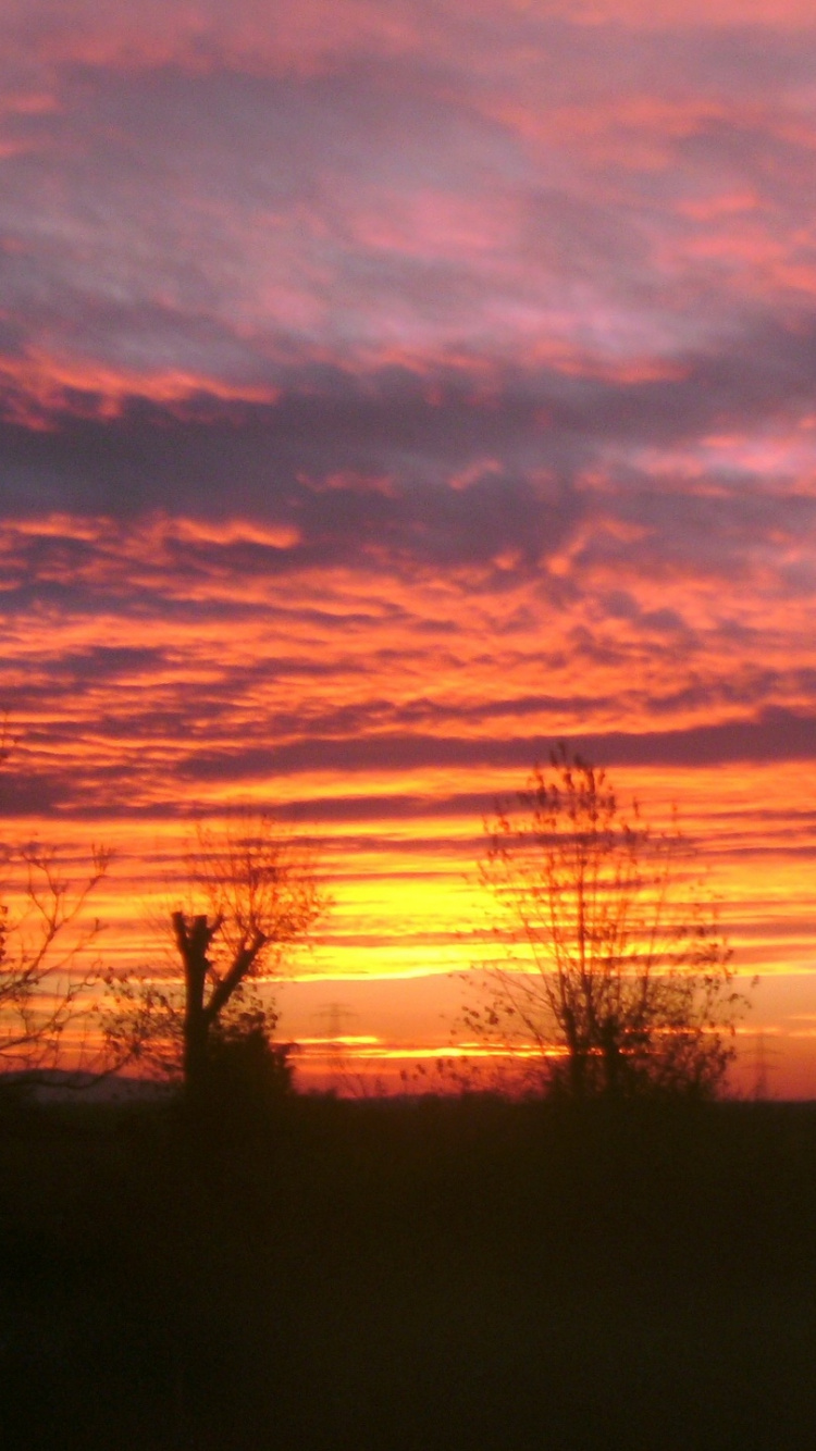 日出, 日落, 早上, 余辉, 云计算 壁纸 750x1334 允许