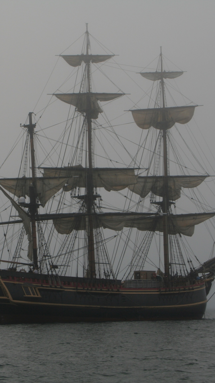 Brown and White Galleon Ship on Sea During Daytime. Wallpaper in 750x1334 Resolution