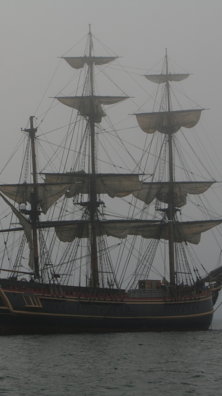 高船, 桅杆, 旗舰, Barquentine, 卡瑞克 壁纸 720x1280 允许