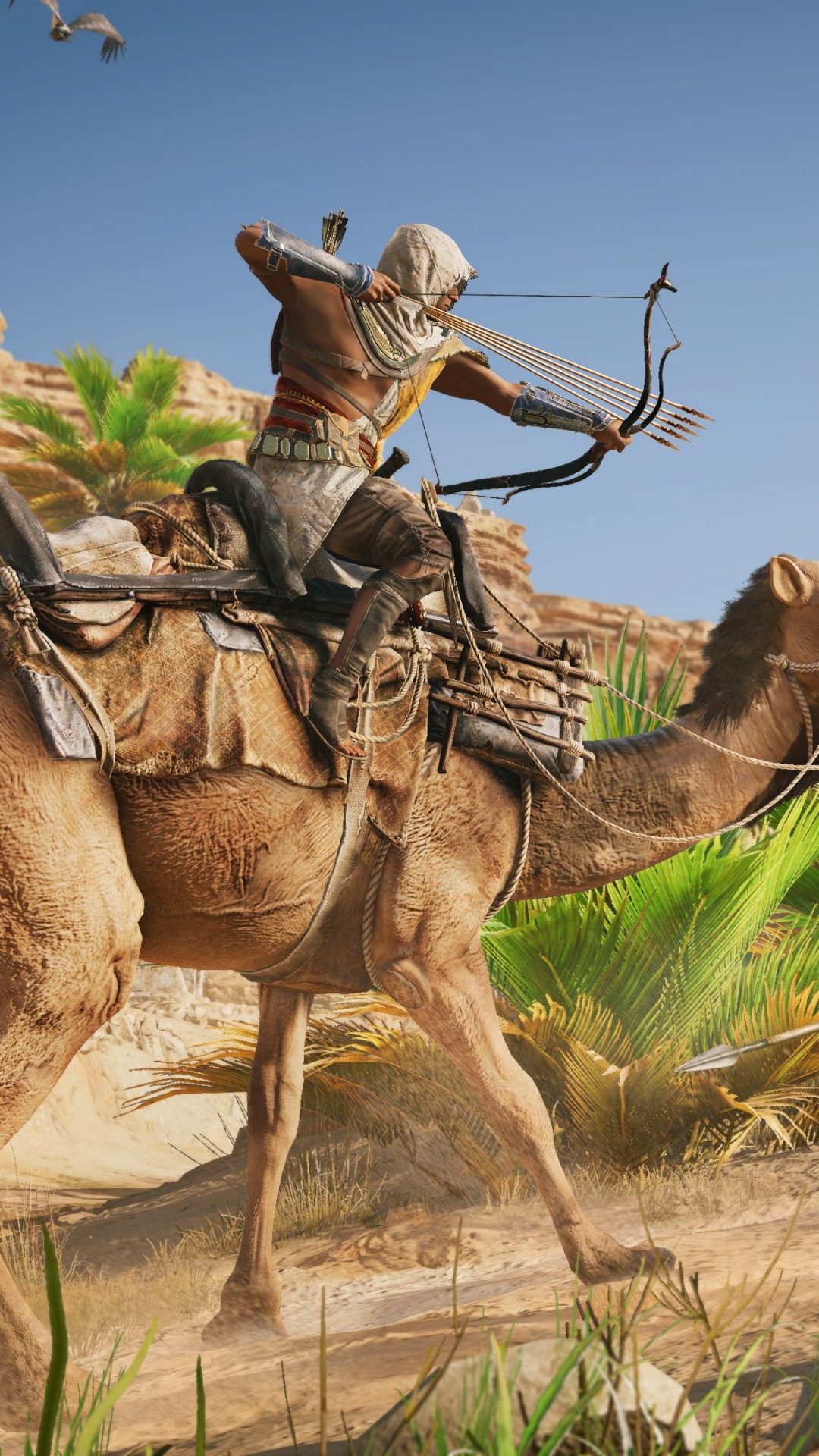 Assassins Creed Herkunft, Assassins Creed, Ubisoft, Ubisoft Montreal, Arabian Camel. Wallpaper in 1080x1920 Resolution