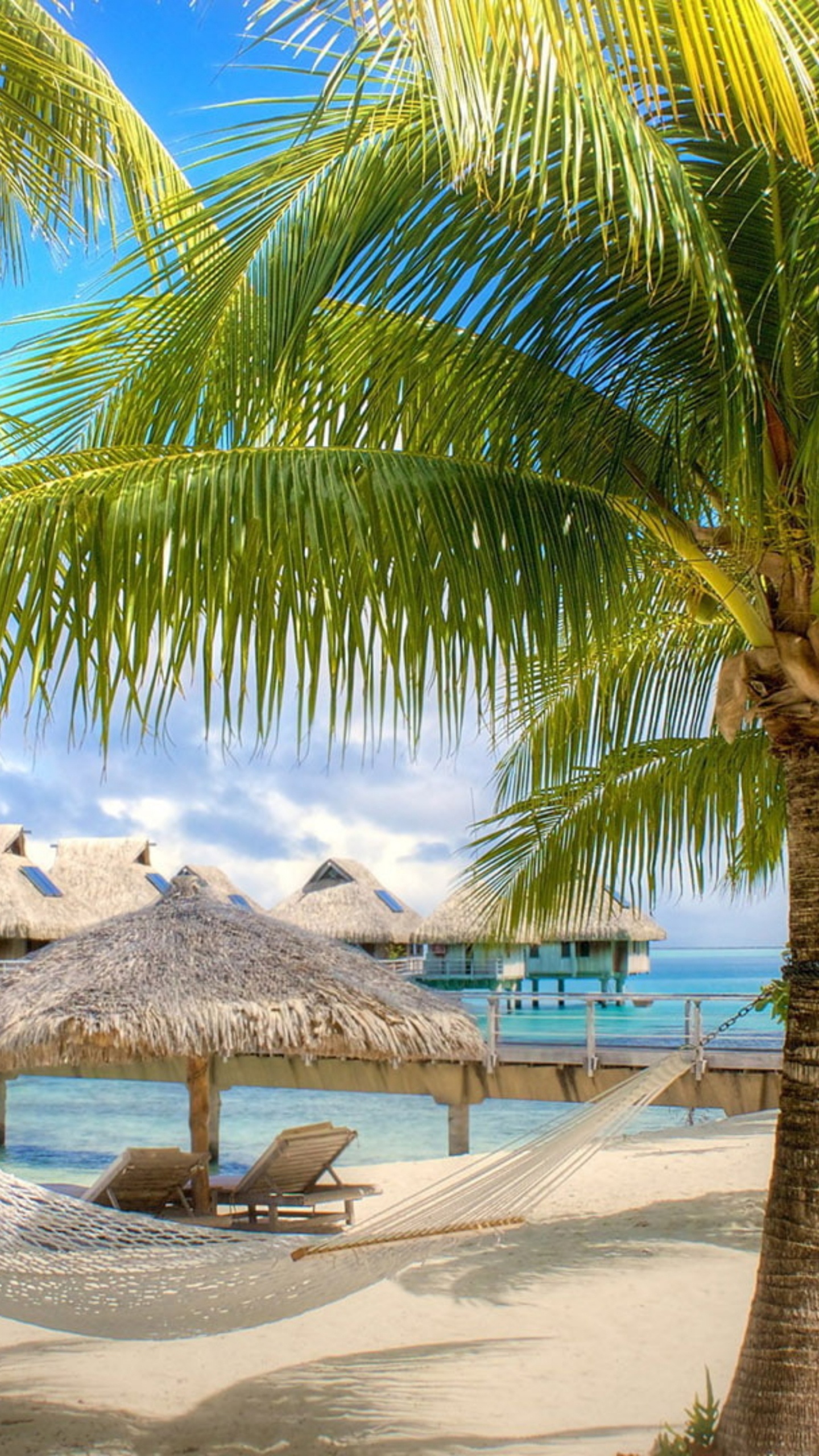 Agua, Azure, Naturaleza, Playa. Wallpaper in 1440x2560 Resolution