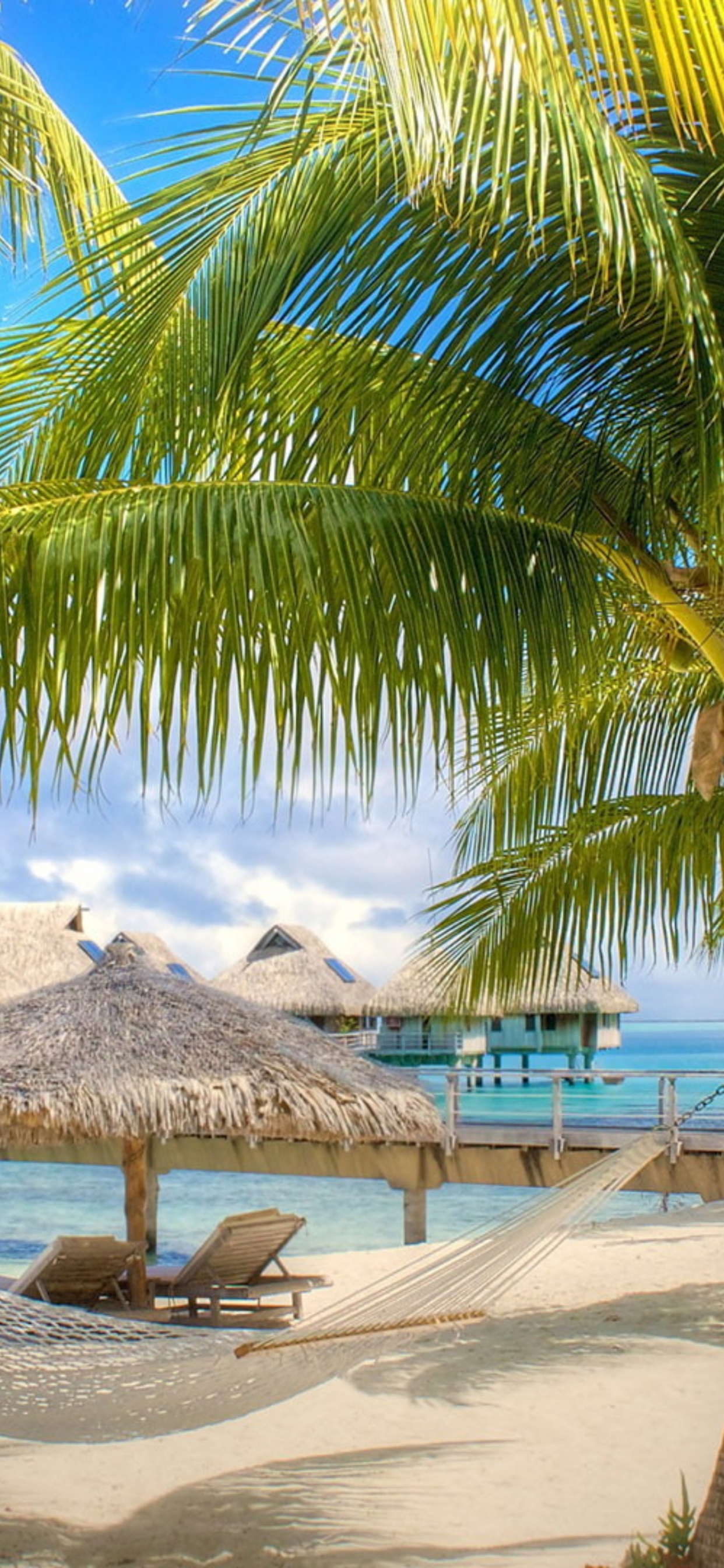 Eau, Azure, Nature, Plage. Wallpaper in 1242x2688 Resolution