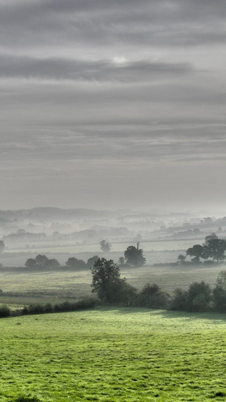Green Grass Field Under Cloudy Sky During Daytime. Wallpaper in 750x1334 Resolution