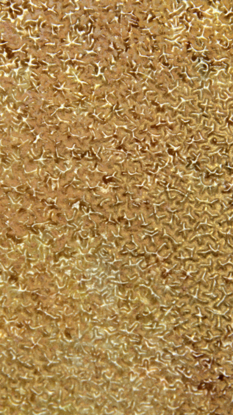 Brown and Black Fur Textile. Wallpaper in 750x1334 Resolution