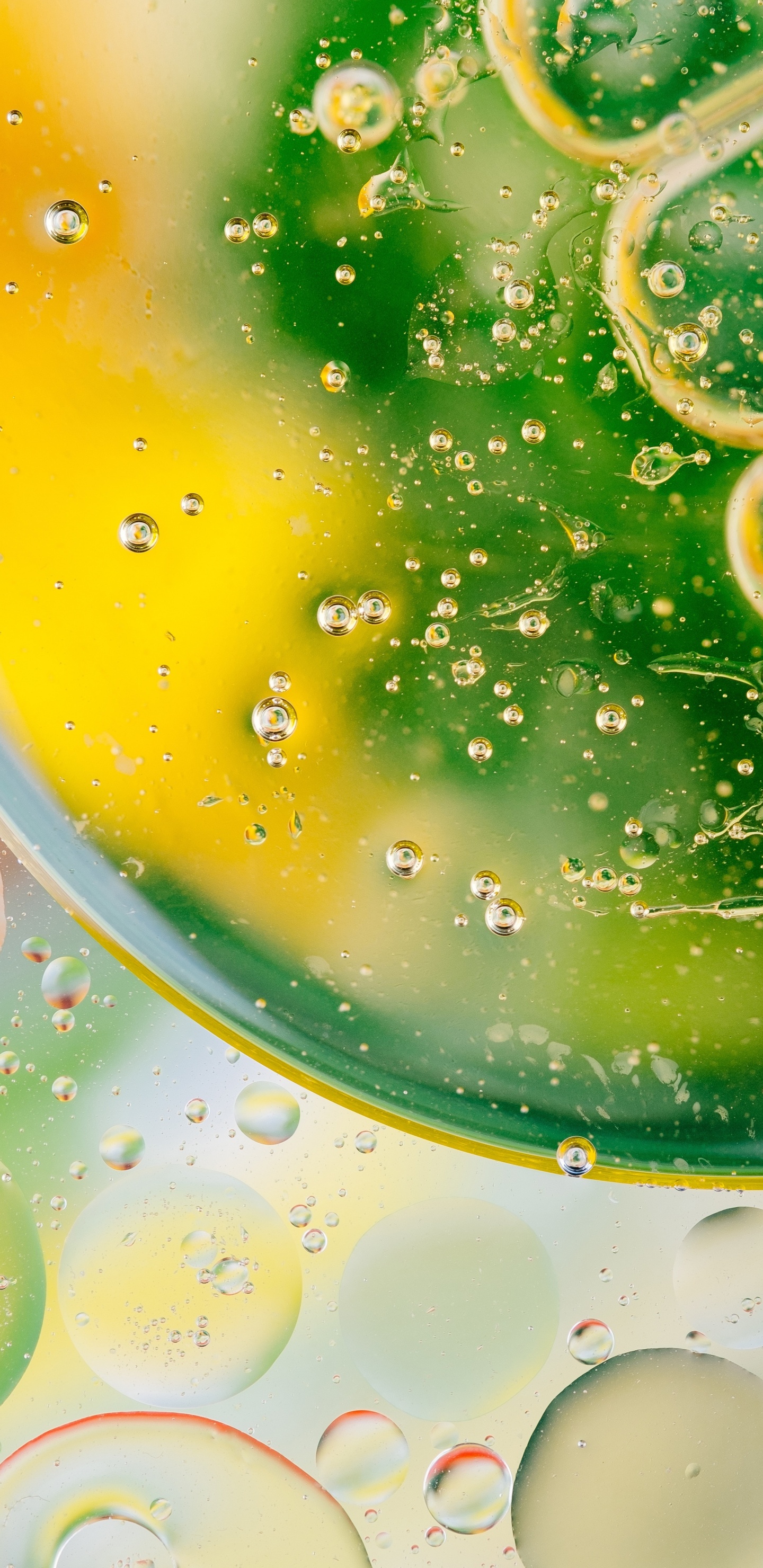 Green, Chaux, Aliment, Agrume, IPod. Wallpaper in 1440x2960 Resolution