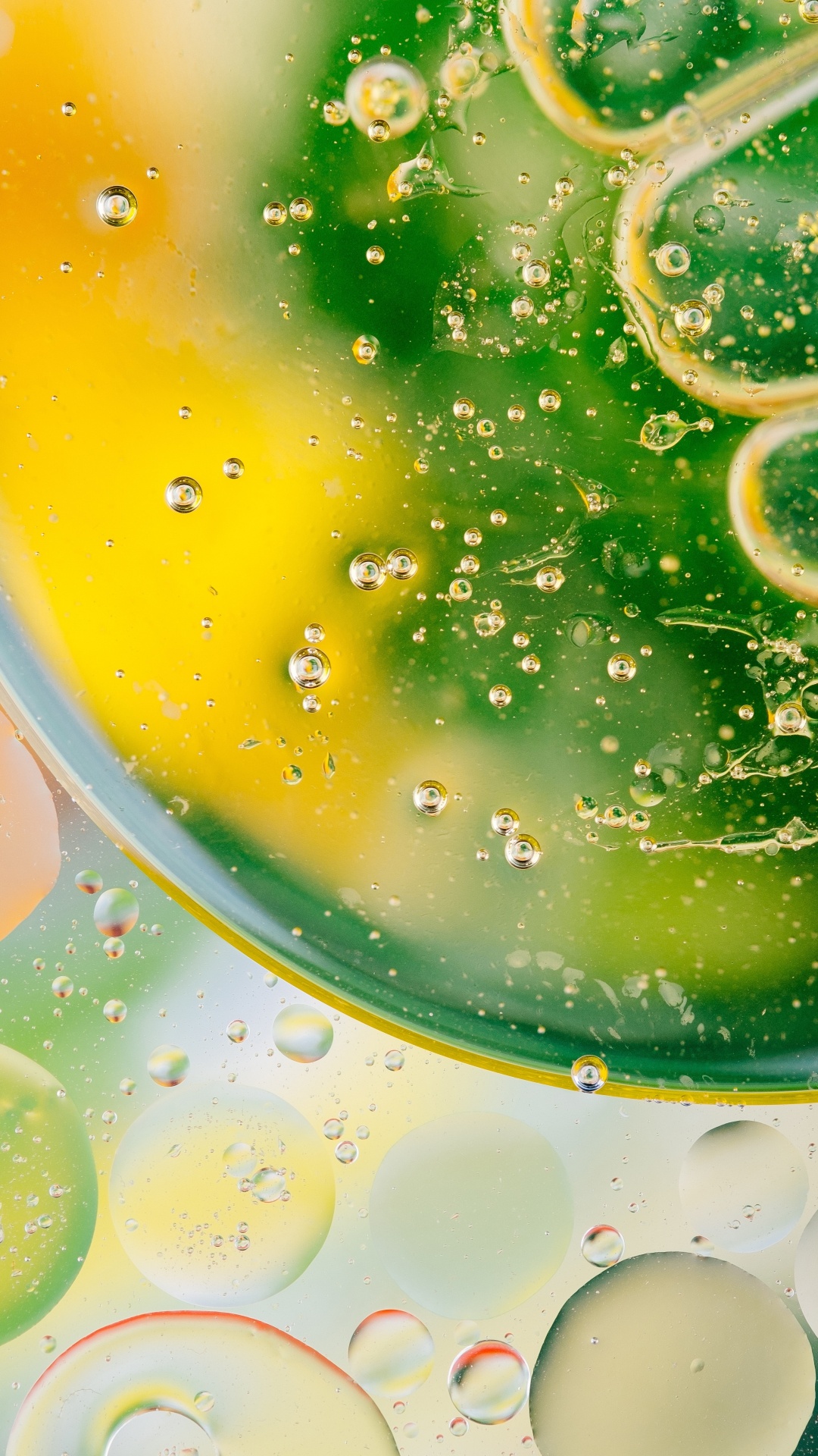 Green, Lime, Food, Citrus, Drink. Wallpaper in 1080x1920 Resolution