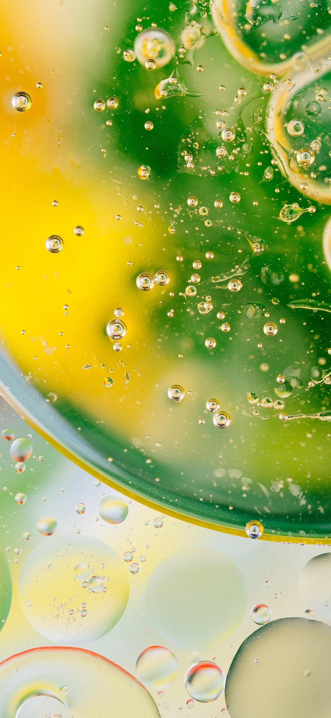 Green, Lime, Food, Citrus, Drink. Wallpaper in 1125x2436 Resolution