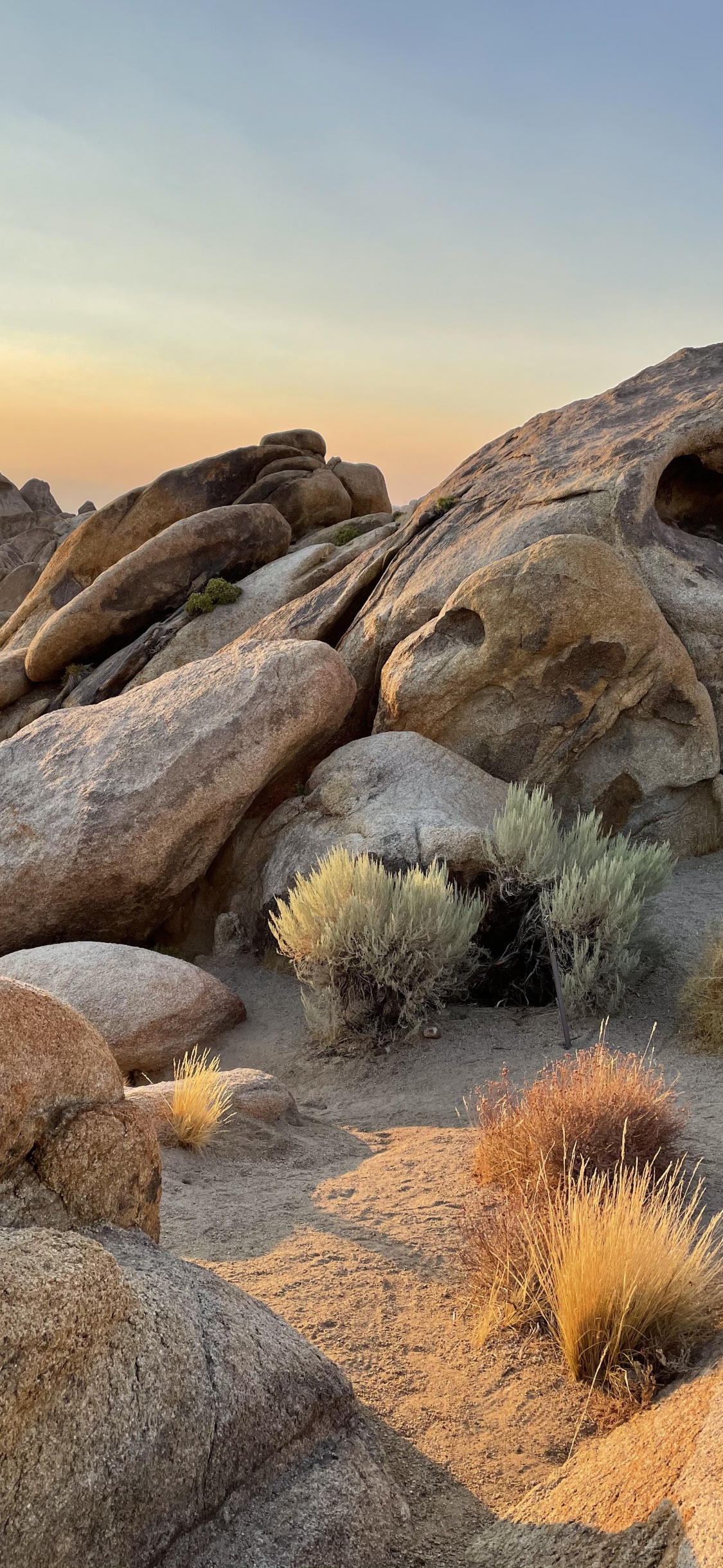 Äpfeln, Apple-Unterstützung, BedRock, Naturlandschaft, Holz. Wallpaper in 1125x2436 Resolution