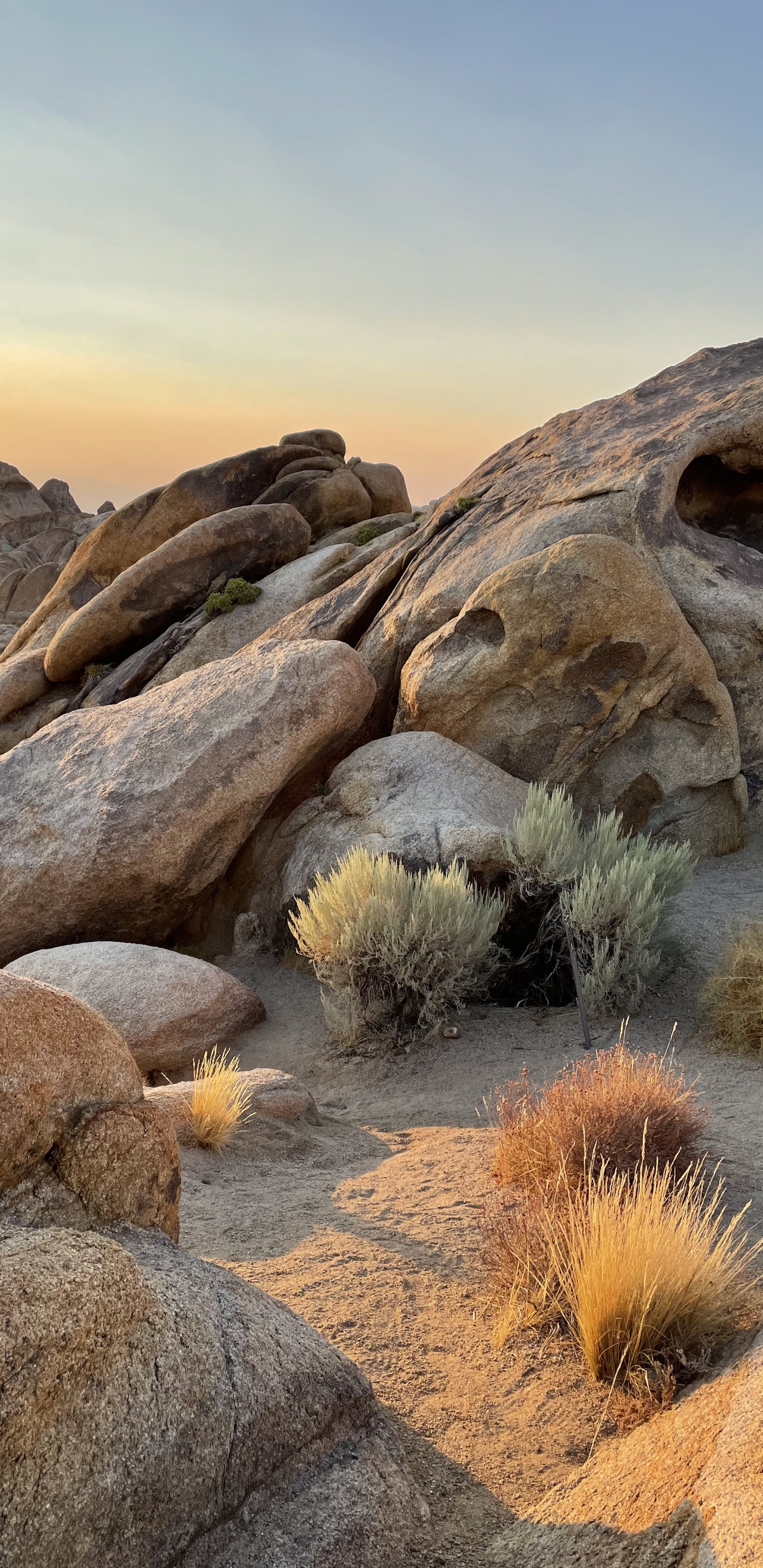 Apple, Assistance Apple, Soubassement, Paysage Naturel, Formation. Wallpaper in 1440x2960 Resolution