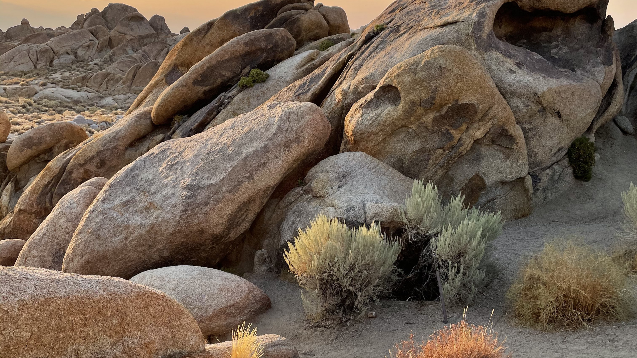 Apple, Assistance Apple, Soubassement, Paysage Naturel, Formation. Wallpaper in 2560x1440 Resolution