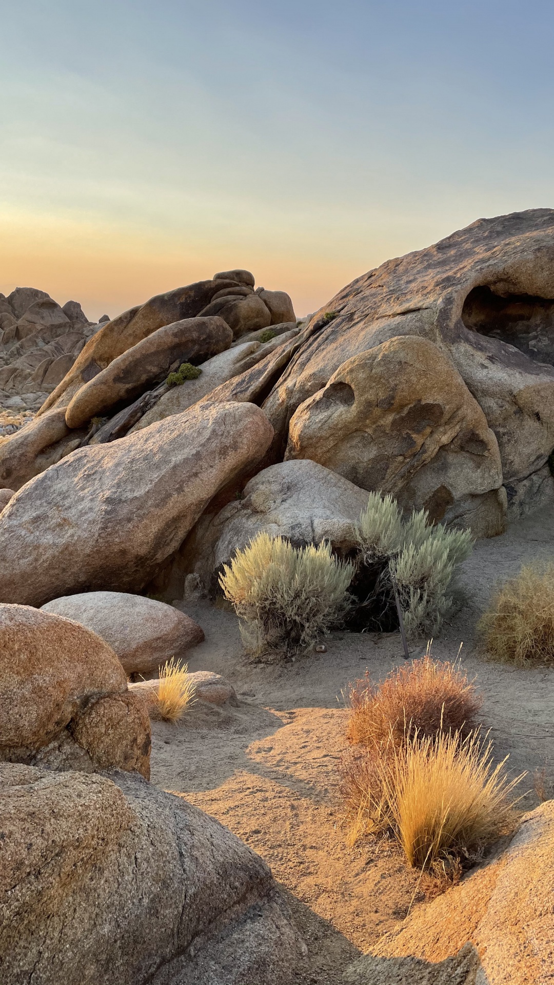 Manzana, Soporte de Apple, Paisaje Natural, Madera, Afloramiento. Wallpaper in 1080x1920 Resolution