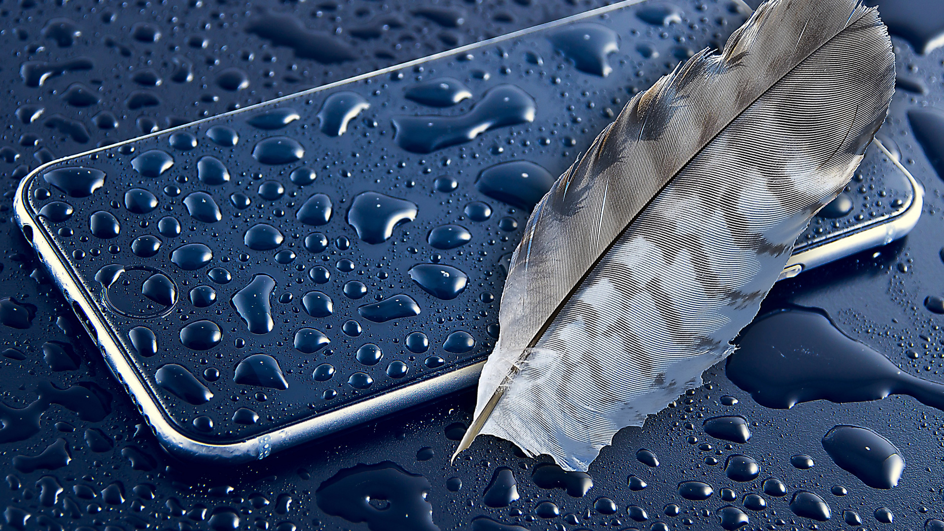 Plume Grise Sur Surface Bleue. Wallpaper in 1920x1080 Resolution