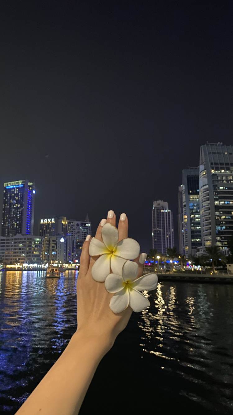 Reflection, Skyscraper, Water, Tower Block, Night. Wallpaper in 750x1334 Resolution