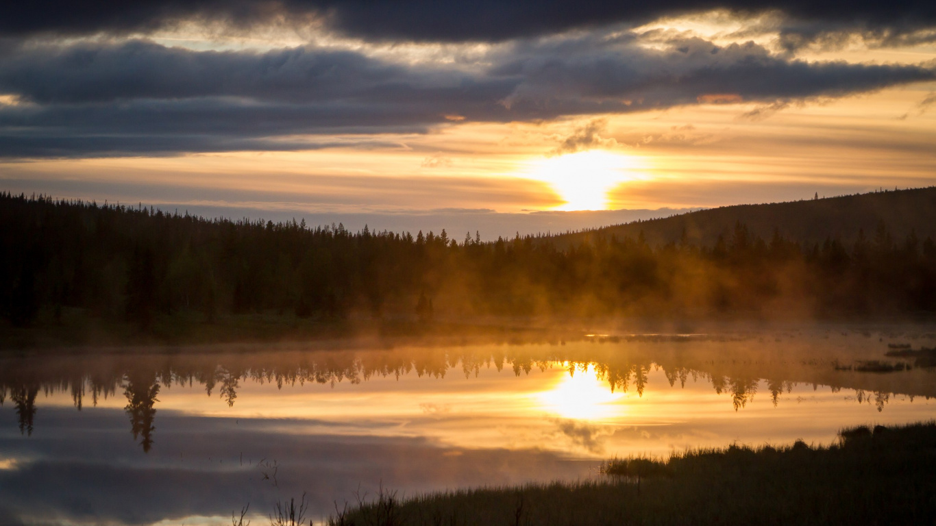 Arbres Verts Près du Lac Sous un Ciel Nuageux Pendant la Journée. Wallpaper in 1366x768 Resolution