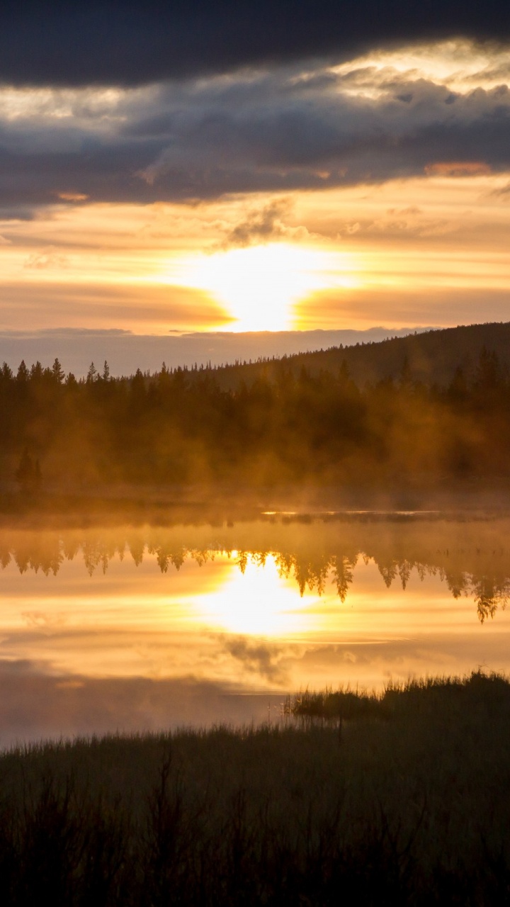 Arbres Verts Près du Lac Sous un Ciel Nuageux Pendant la Journée. Wallpaper in 720x1280 Resolution