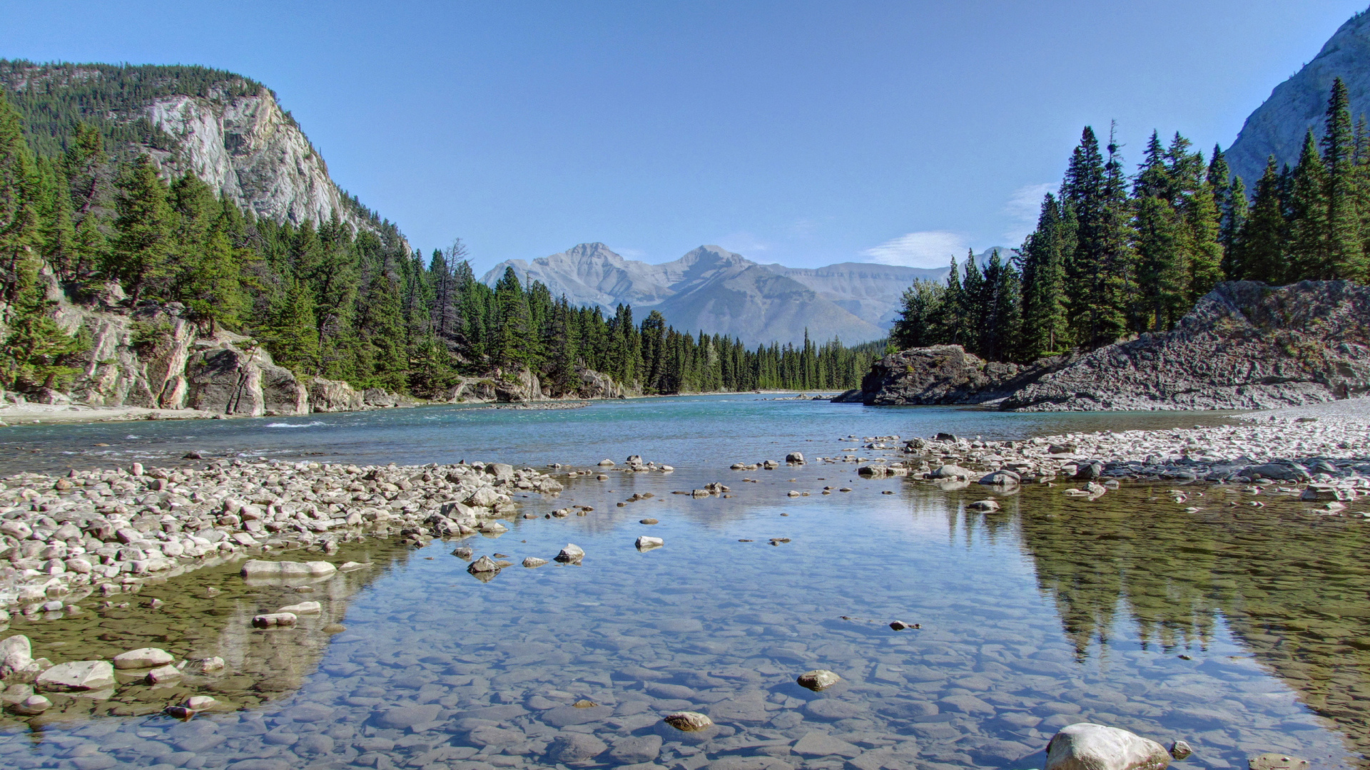 Árboles Verdes Cerca Del Río Durante el Día. Wallpaper in 1920x1080 Resolution