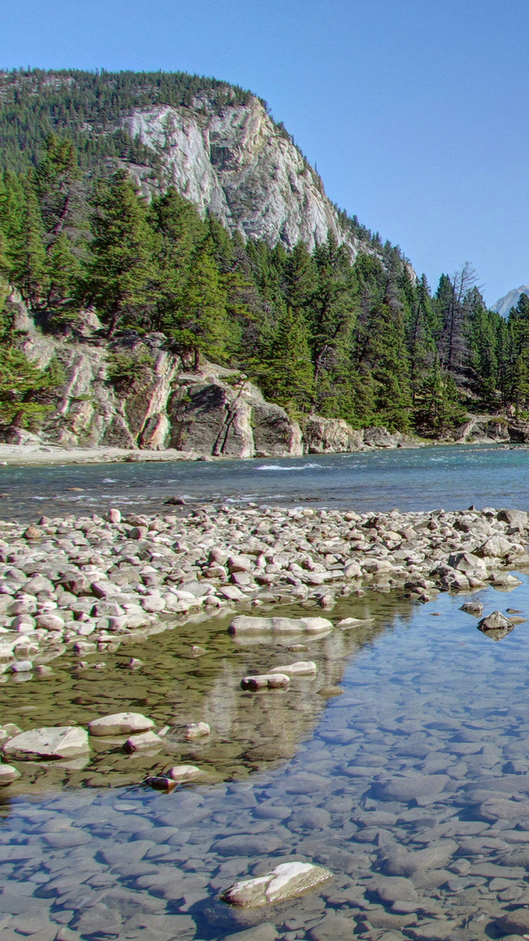 Green Trees Near River During Daytime. Wallpaper in 750x1334 Resolution