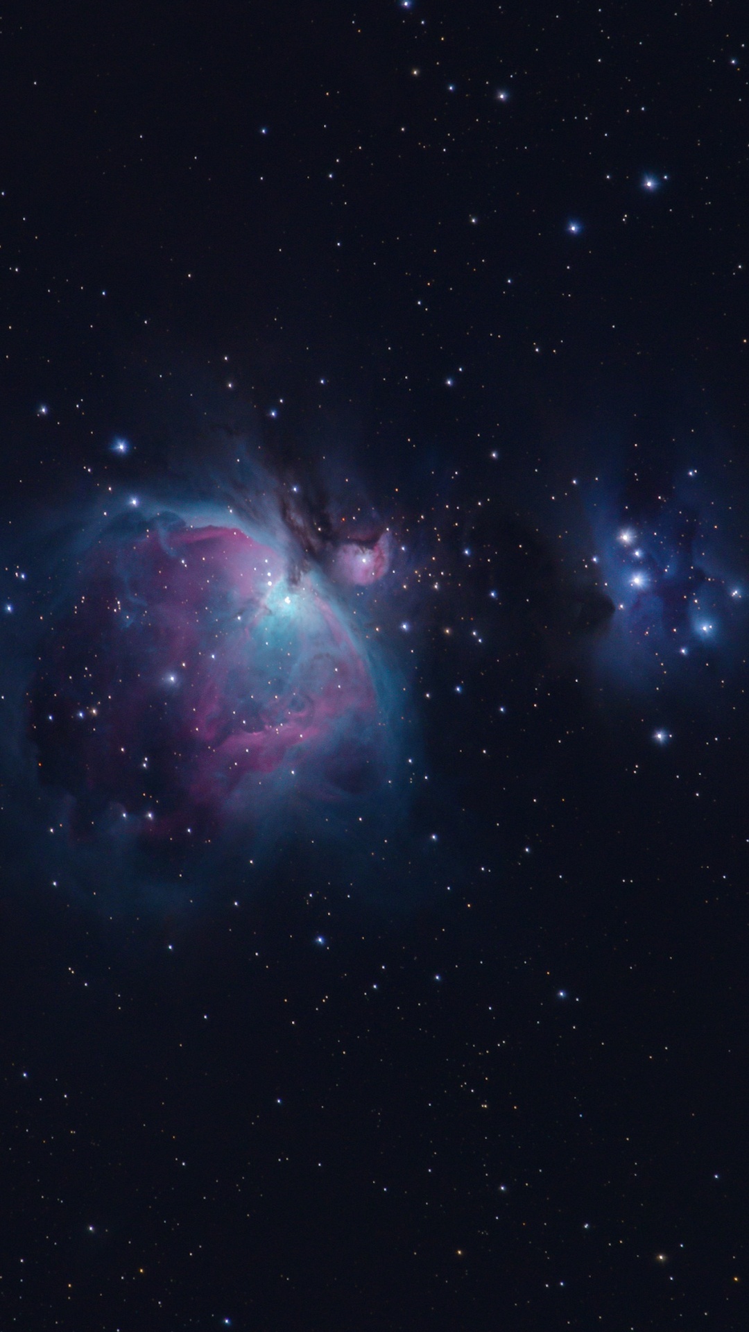 la Astronomía, Nebulosa de Orión, Nebulosa Del Velo, Remanente de Supernova, Estrella. Wallpaper in 1080x1920 Resolution