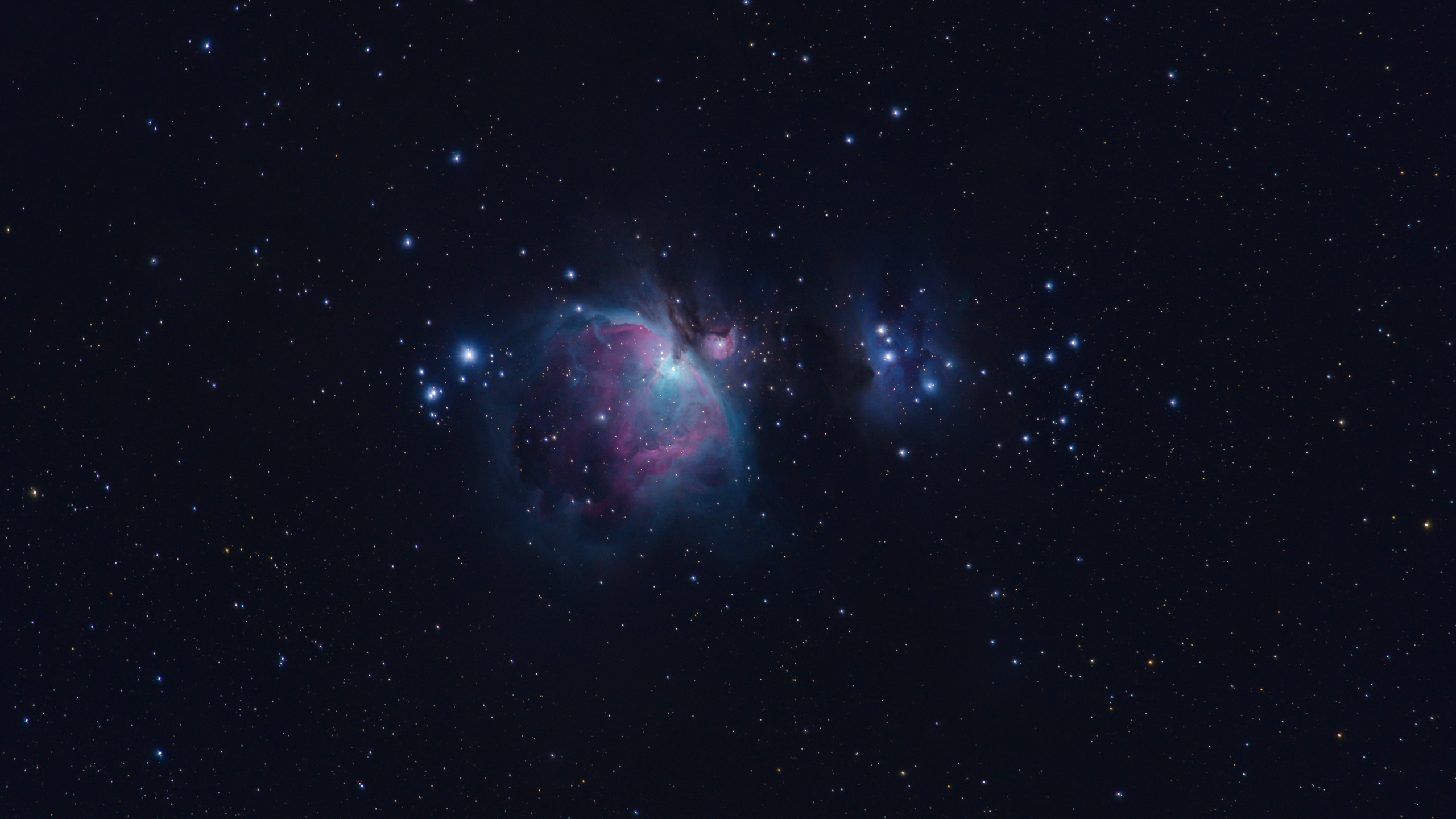 天文学, 猎户座星云, 明星, 超新星, 气氛 壁纸 2560x1440 允许