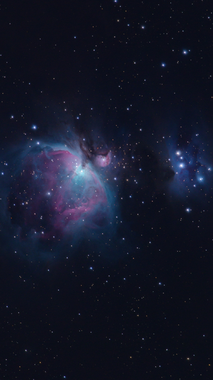 天文学, 猎户座星云, 明星, 超新星, 气氛 壁纸 750x1334 允许