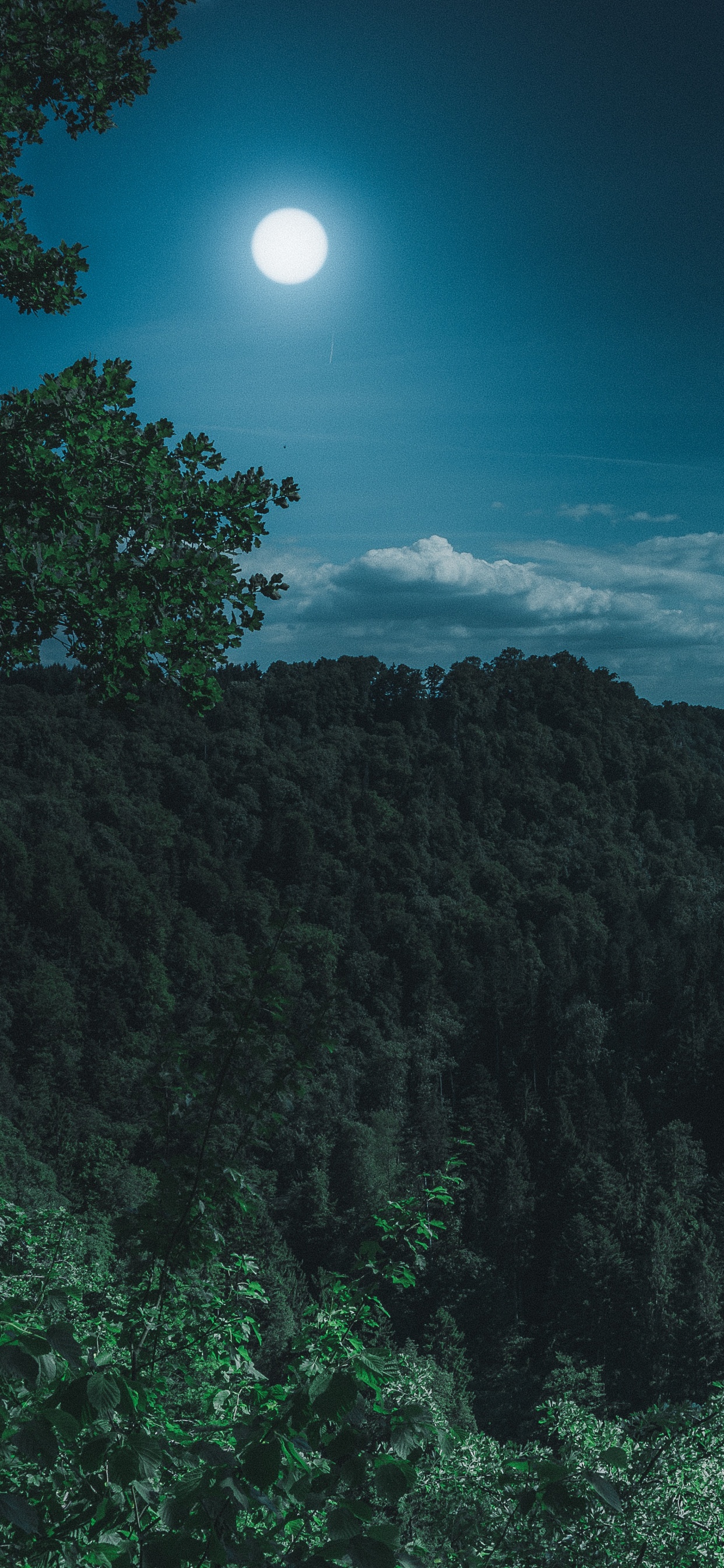 Terre, Pleine Lune, Nature, Blue, Lumière. Wallpaper in 1242x2688 Resolution