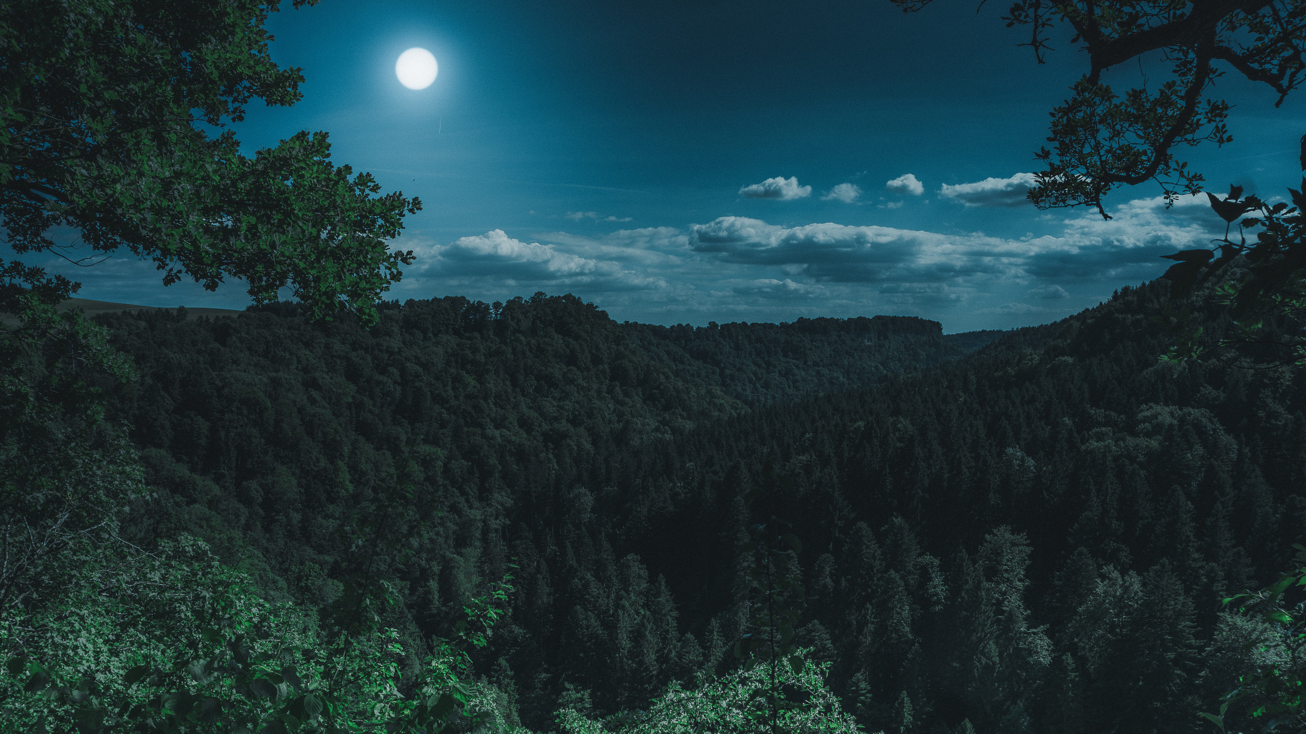 Terre, Pleine Lune, Nature, Blue, Lumière. Wallpaper in 2560x1440 Resolution