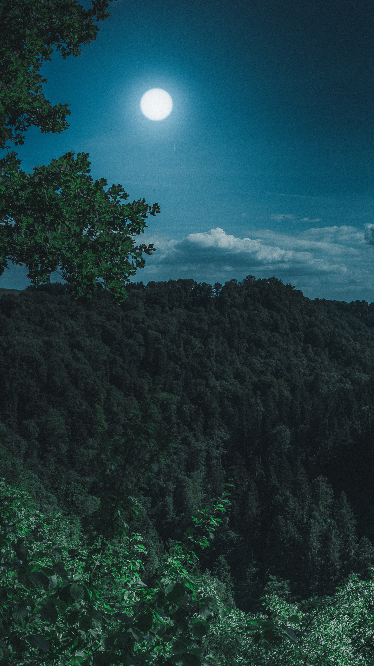 Terre, Pleine Lune, Nature, Blue, Lumière. Wallpaper in 750x1334 Resolution