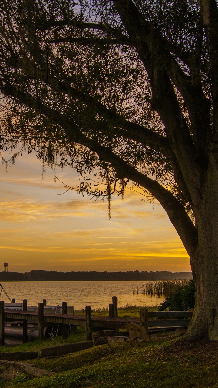Brown Wooden Fence Near Body of Water During Sunset. Wallpaper in 720x1280 Resolution