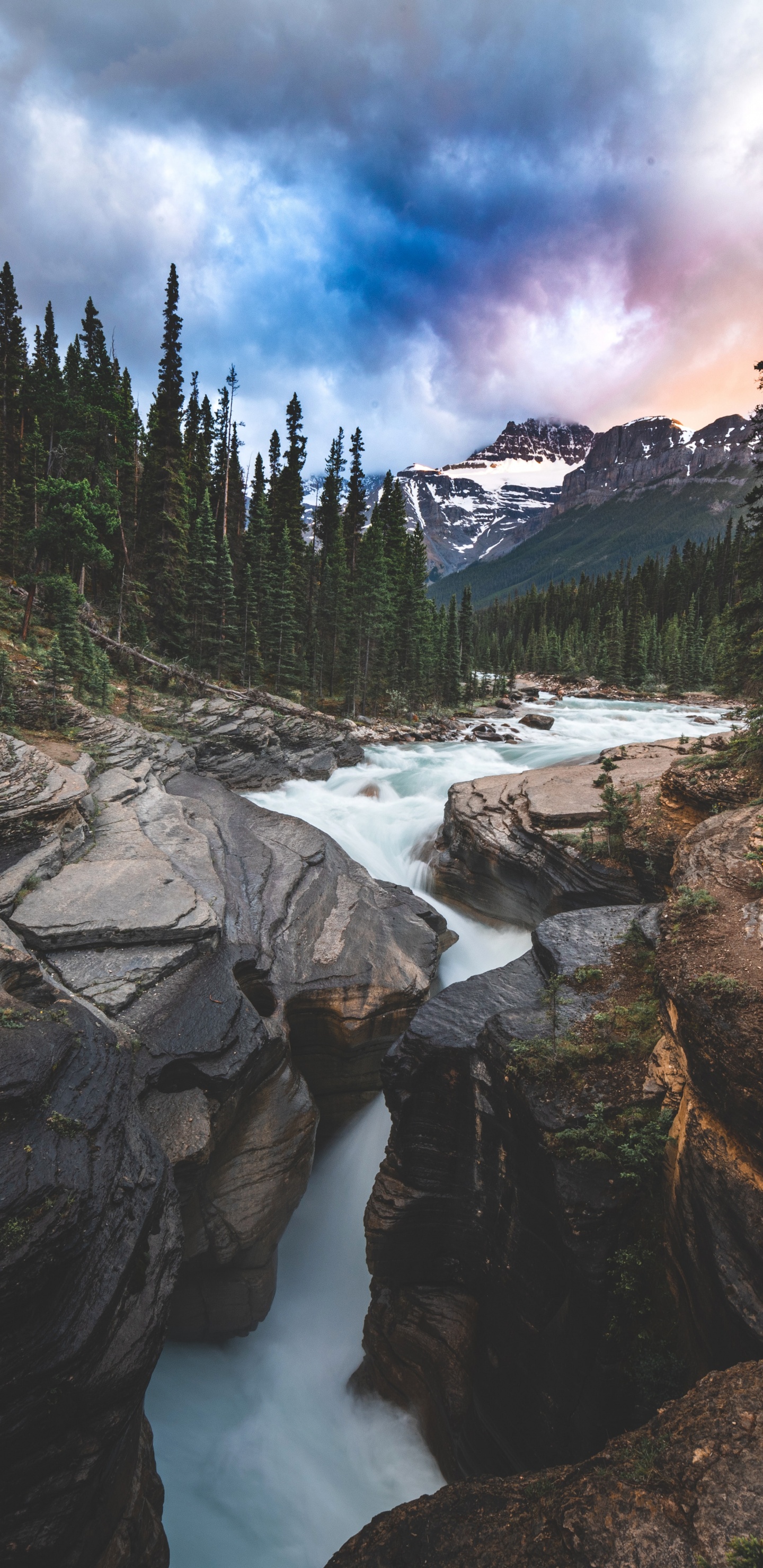 Banff National Park, Yoho National Park Of Canada, Bow River Trail, Cloud, Plant. Wallpaper in 1440x2960 Resolution