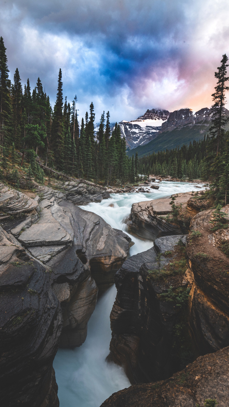 Banff National Park, Yoho National Park Of Canada, Bow River Trail, Cloud, Plant. Wallpaper in 750x1334 Resolution