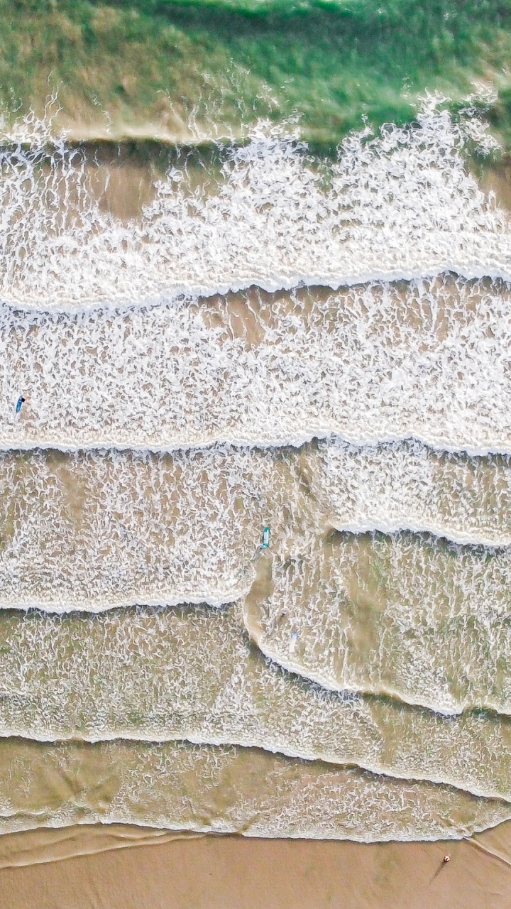 Wall, Bedrock, Wood, Road Surface, Groundcover. Wallpaper in 720x1280 Resolution