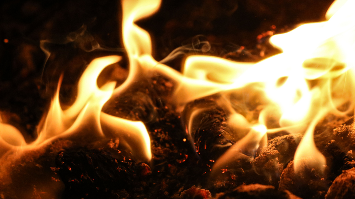 火焰, 热, 篝火, 光 壁纸 1366x768 允许