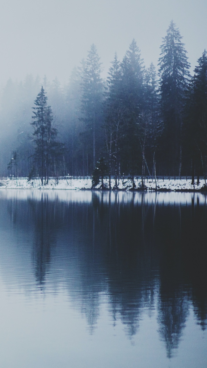 Winter, Water, Water Resources, Natural Landscape, Tree. Wallpaper in 720x1280 Resolution
