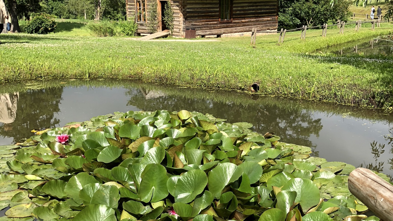 Botanischer Garten, Gewässer, Haus, Teich, Ländlichen Bereich. Wallpaper in 1280x720 Resolution