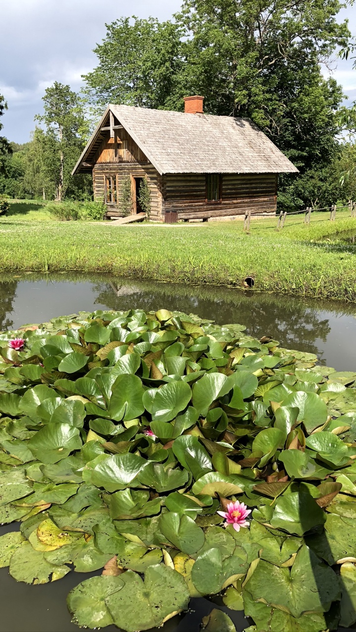 Botanischer Garten, Gewässer, Haus, Teich, Ländlichen Bereich. Wallpaper in 720x1280 Resolution