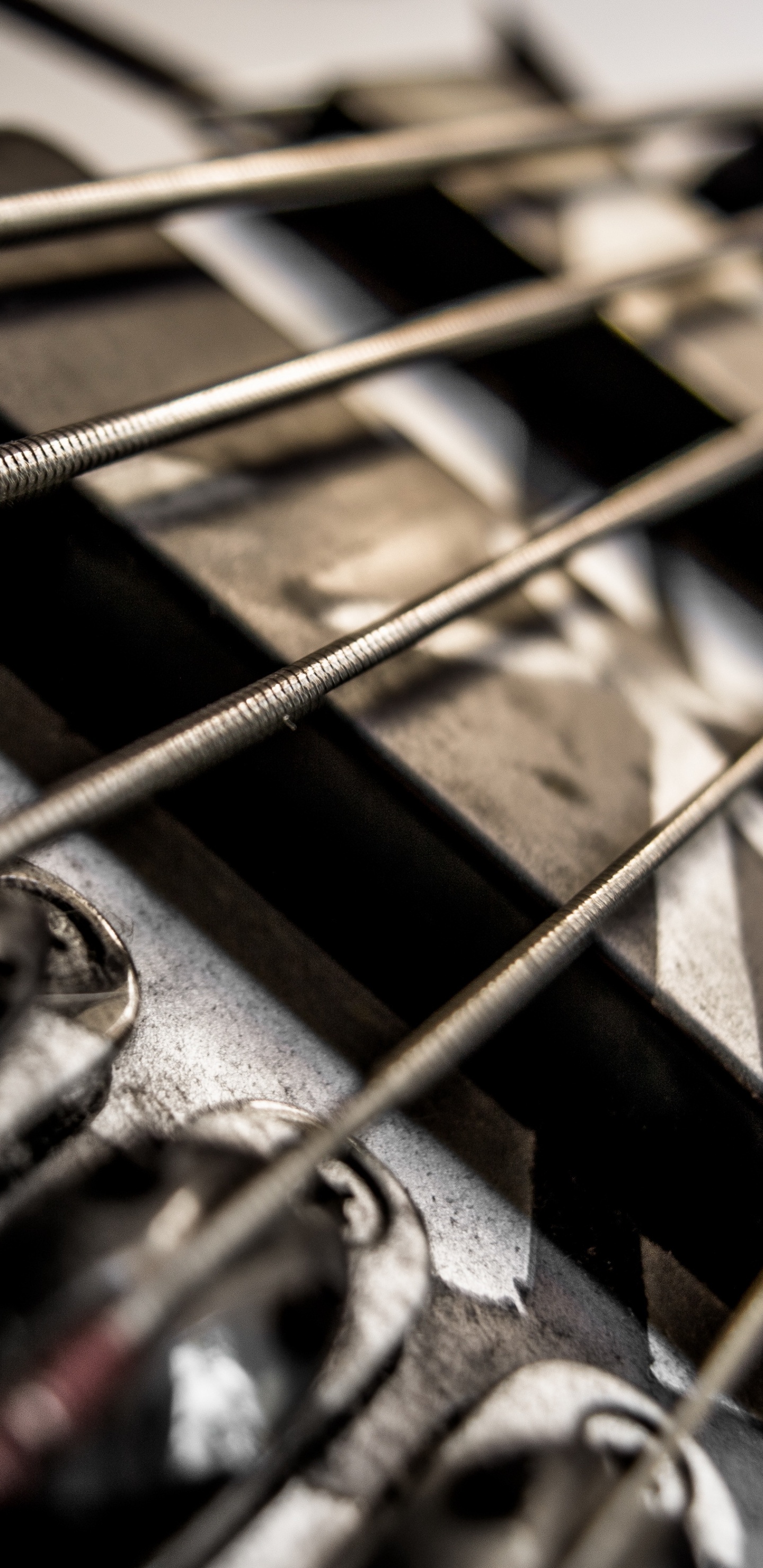 Bass, Gitarre, Gezupfte Saiteninstrumente, Musiker, Musik. Wallpaper in 1440x2960 Resolution