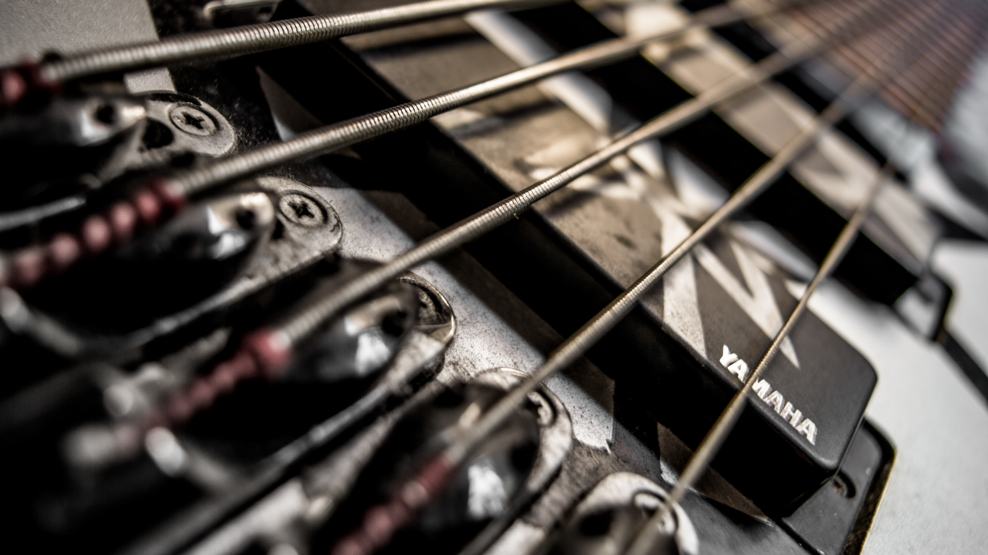 Bass, Gitarre, Gezupfte Saiteninstrumente, Musiker, Musik. Wallpaper in 1920x1080 Resolution