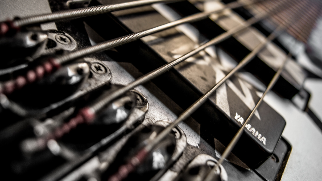 Guitar, Bass Guitar, Electric Guitar, String Instrument, Musical Instrument. Wallpaper in 1366x768 Resolution