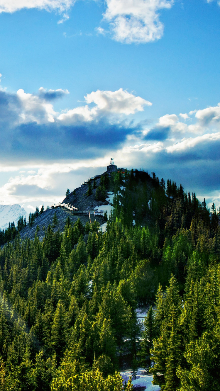 Grüne Pinien Auf Dem Berg Unter Weißen Wolken Und Blauem Himmel Tagsüber. Wallpaper in 750x1334 Resolution