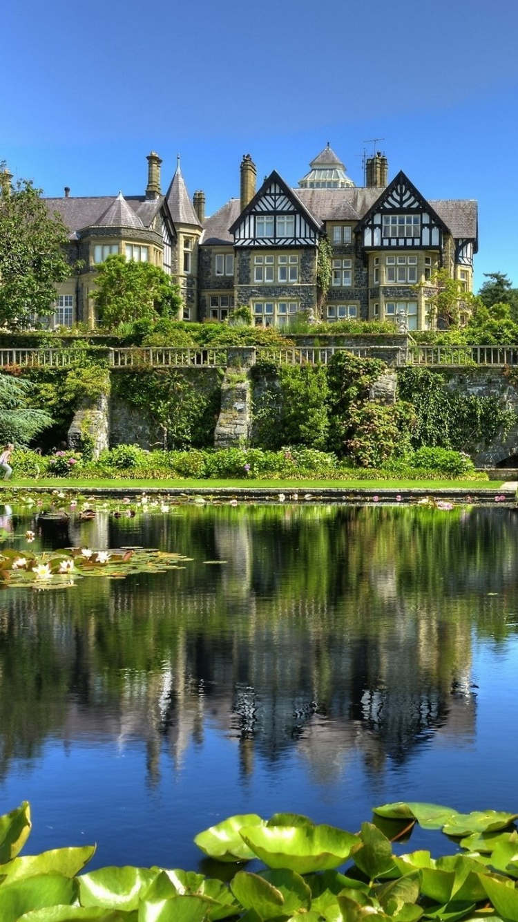 Tagsüber Grüne Bäume Neben Dem Gewässer. Wallpaper in 750x1334 Resolution