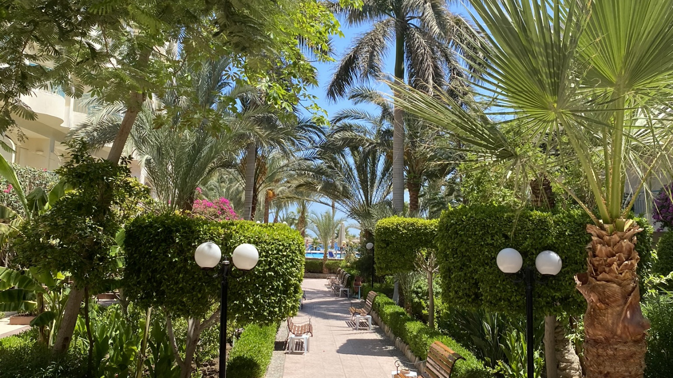 Végétation, Plantes Ligneuses, Garden, Allée, Arbuste. Wallpaper in 1366x768 Resolution