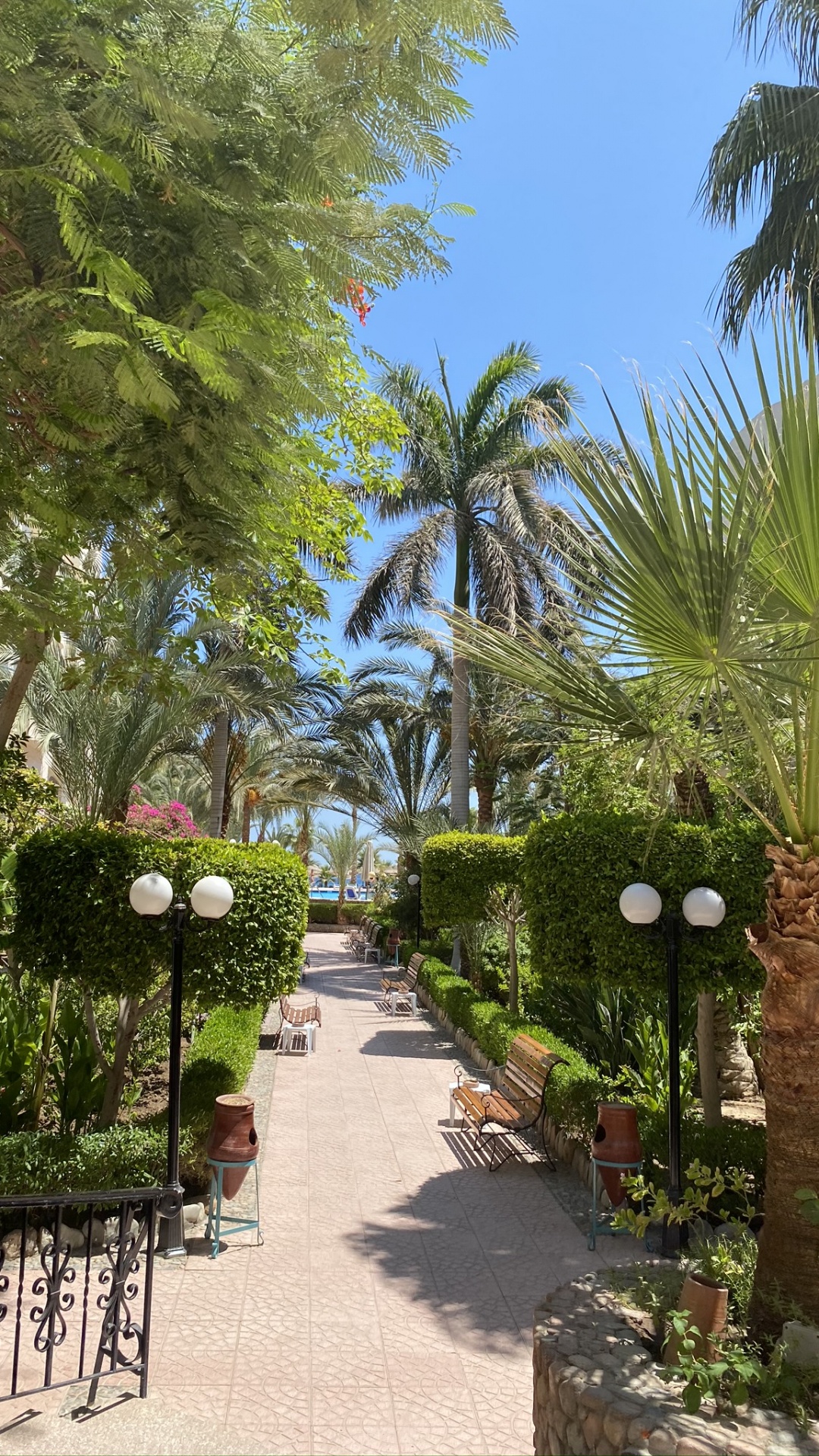 Vegetation, Tree, Woody Plant, Garden, Walkway. Wallpaper in 1080x1920 Resolution