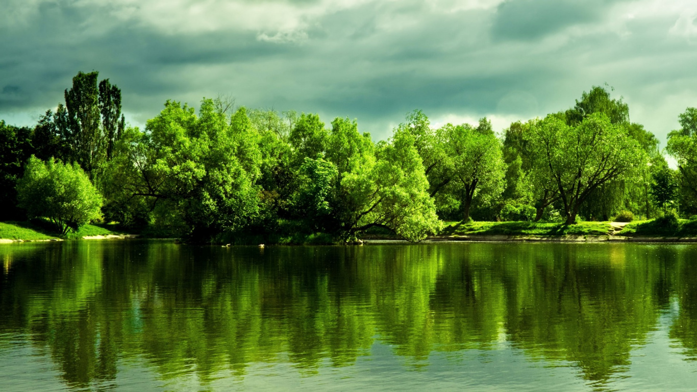 Arbres Verts à Côté de la Rivière Sous un Ciel Nuageux Pendant la Journée. Wallpaper in 1366x768 Resolution