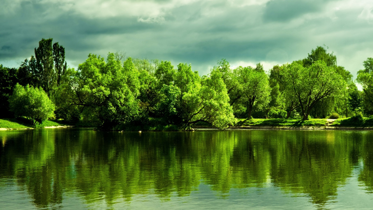 Green Trees Beside River Under Cloudy Sky During Daytime. Wallpaper in 1280x720 Resolution