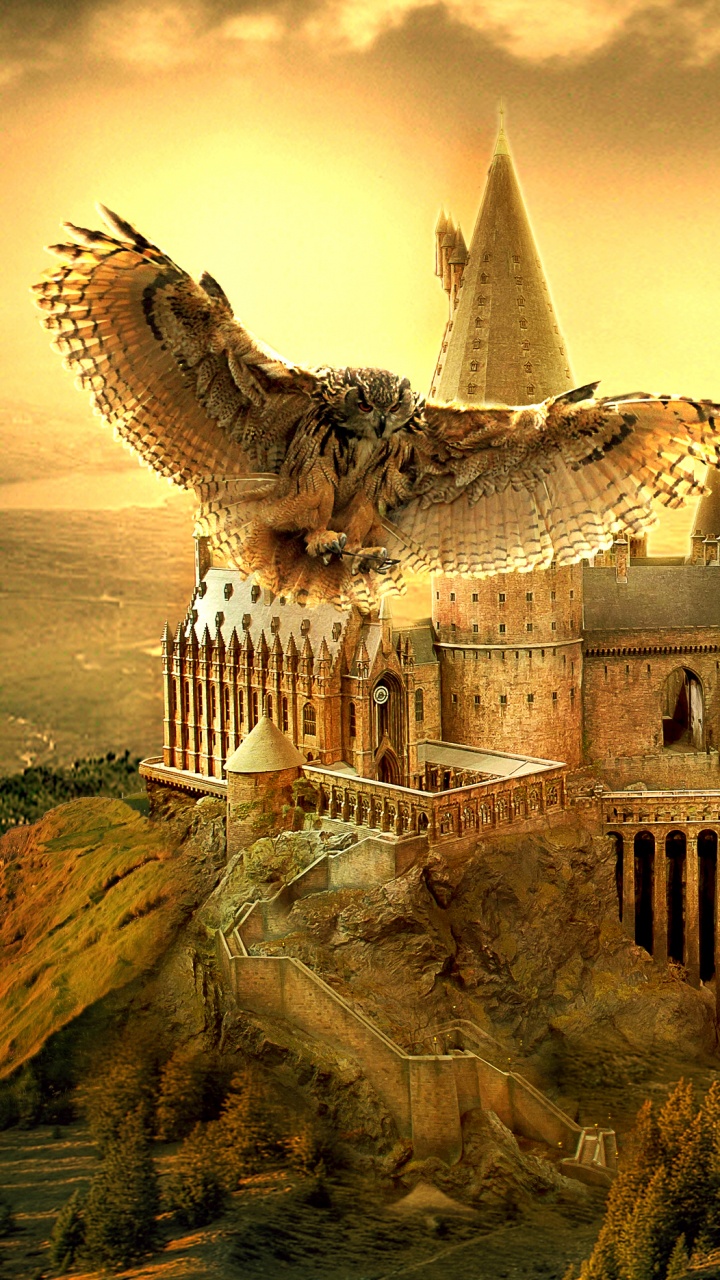 Edificio de Hormigón Blanco y Marrón en la Colina Marrón. Wallpaper in 720x1280 Resolution