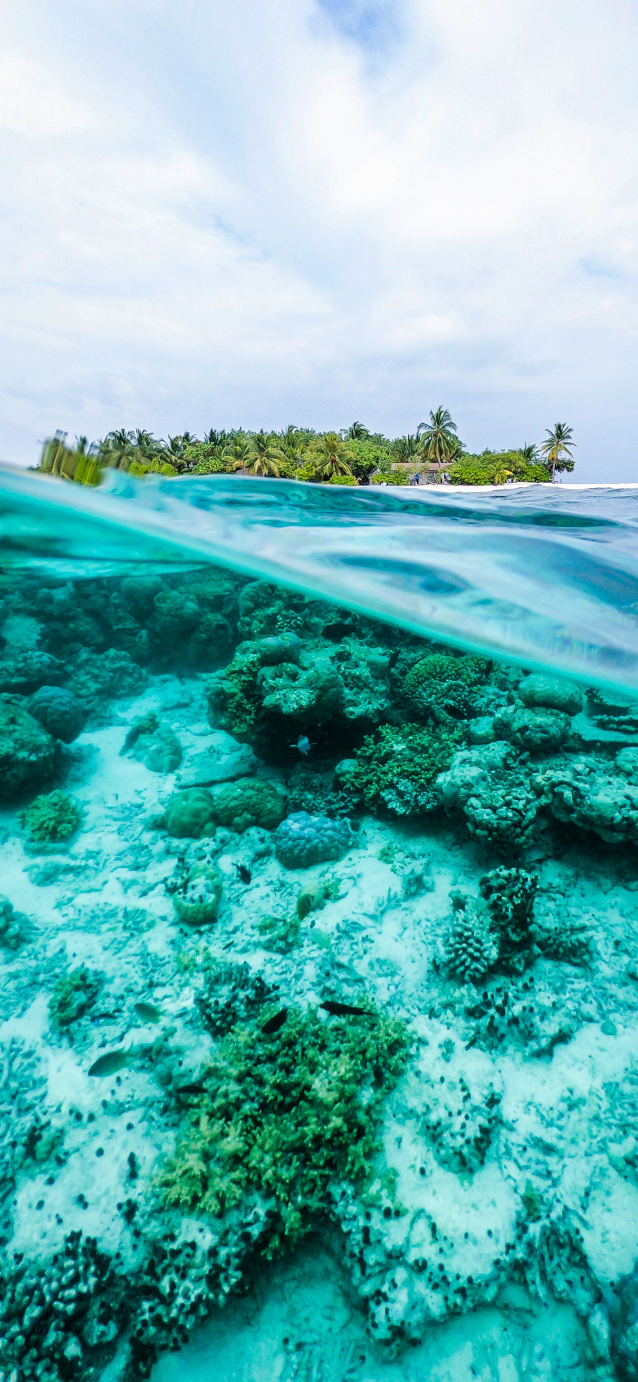 海洋, 水资源, 绿色的, Azure, 自然景观 壁纸 1242x2688 允许