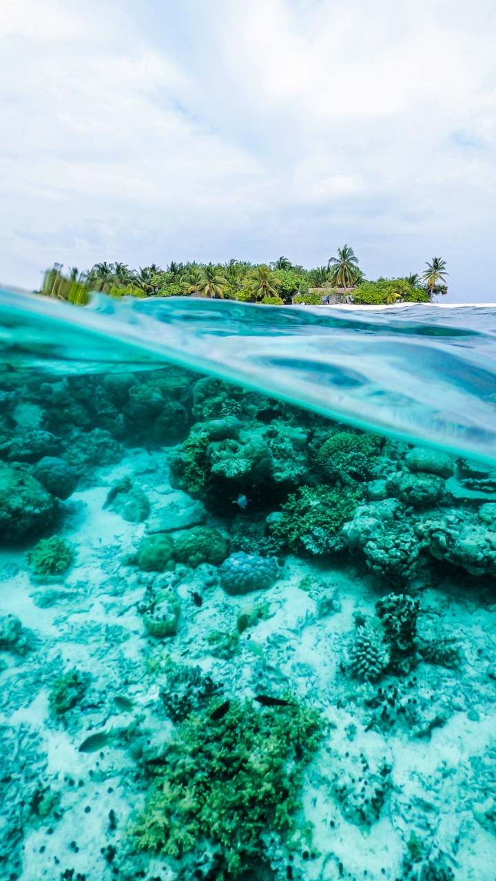 海洋, 水资源, 绿色的, Azure, 自然景观 壁纸 720x1280 允许