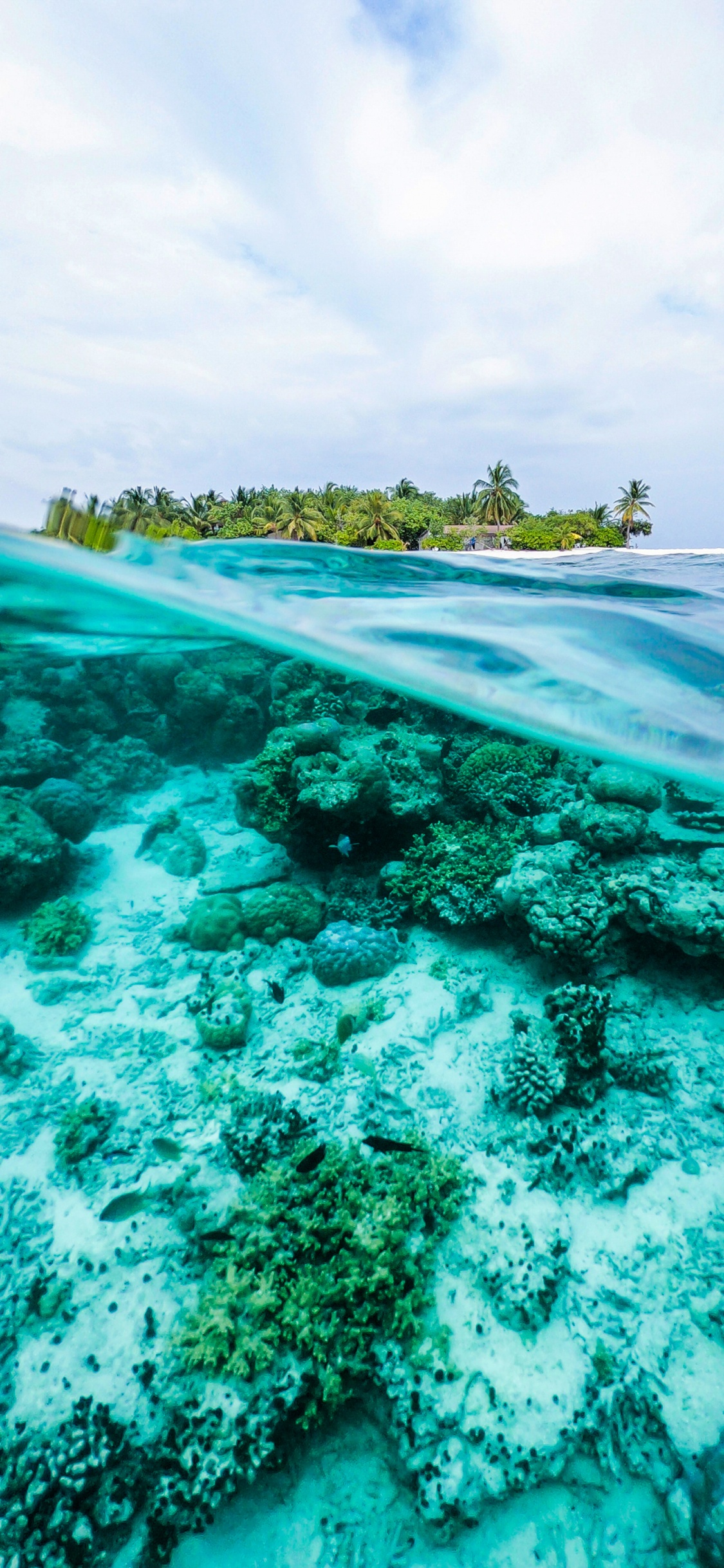 Ocean, Water, Water Resources, Cloud, Green. Wallpaper in 1125x2436 Resolution