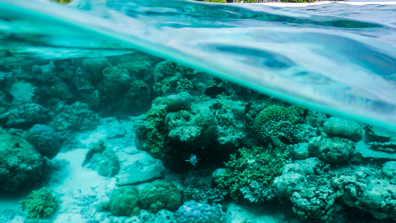 Ocean, Water, Water Resources, Cloud, Green. Wallpaper in 1280x720 Resolution