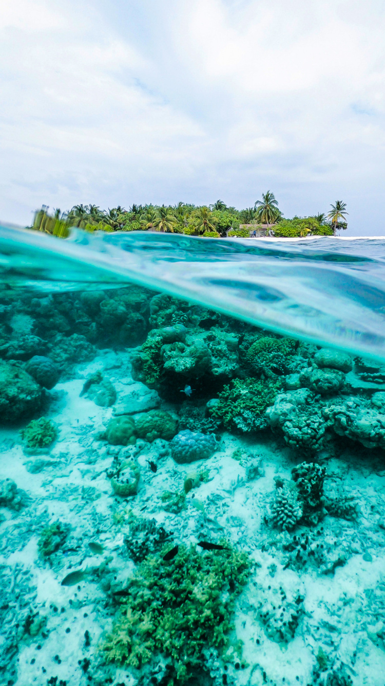 Ocean, Water, Water Resources, Cloud, Green. Wallpaper in 750x1334 Resolution